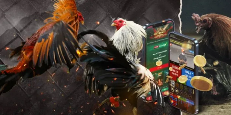 Hướng Dẫn Cách Chơi Đá Gà GA28 Tại Oppa888 Chi Tiết Nhất