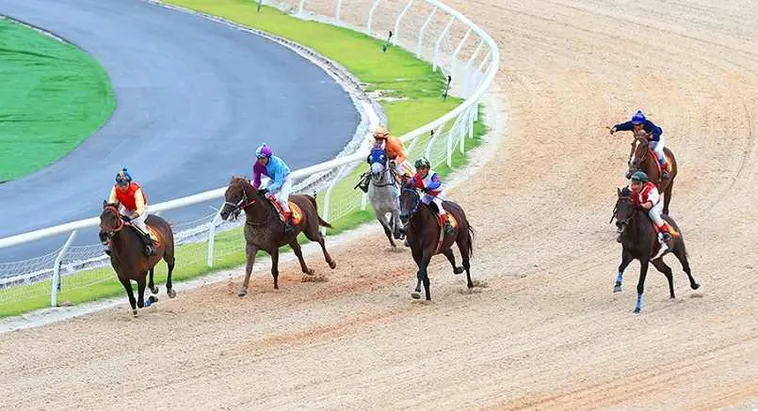 Đua Ngựa Oppa888: Hướng Dẫn Cá Cược Chi Tiết Cho Người Chơi Mới